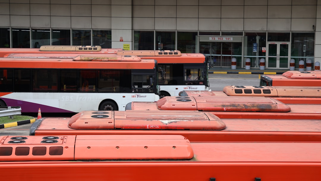 Zo maakt conditioner je haar gezonder en mooier